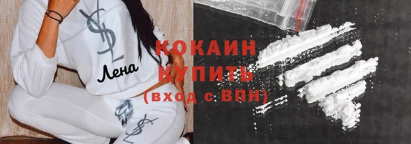 прущие грибы Армянск