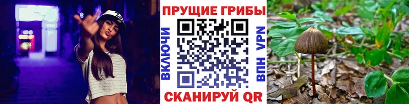 kraken маркетплейс  Реж  Псилоцибиновые грибы прущие грибы 